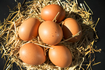 six fresh raw eggs with freckles on the hay on black background
