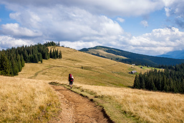 Fototapeta na wymiar The Carpathians mountains