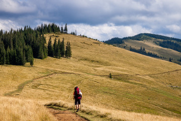 Fototapeta premium The Carpathians mountains