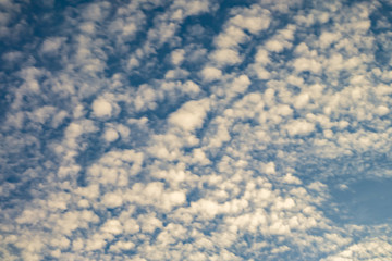 Fototapeta premium Blue sky background with tiny curly rolling clouds in the evening. Clearing day and Good windy weather