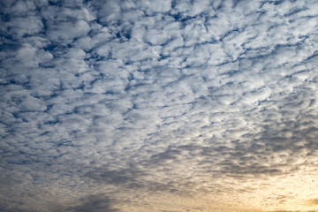 Fototapeta premium Blue sky background with tiny curly rolling clouds in the evening. Clearing day and Good windy weather