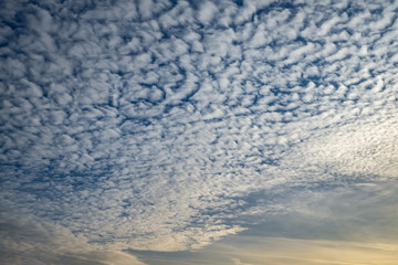 Blue sky background with tiny curly rolling clouds in the evening. Clearing day and Good windy weather