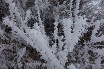 Landscapes of the Pacific Northwest
