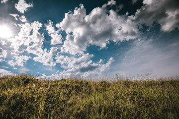 green field and blue sky