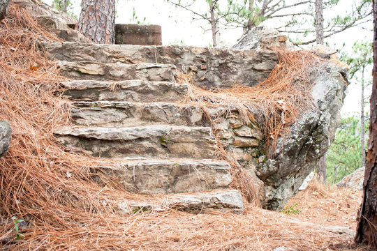 Forgotten Stairway