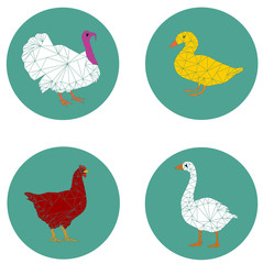 set poultry modern icon vector eps 10