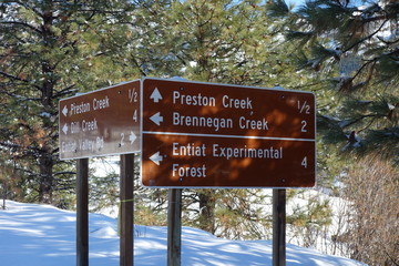 Landscapes of the Pacific Northwest