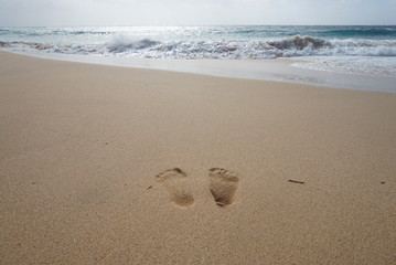 Fototapeta na wymiar Footprints on sand at a beach in Hawaii.