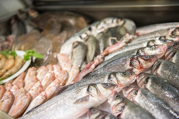 Fresh raw fishes and seafoods in ice at Fish market or shop