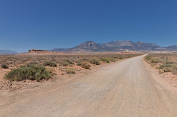 primitive dirt road leading to the Henry Mountains near Hanksville, Wayne County, Utah
