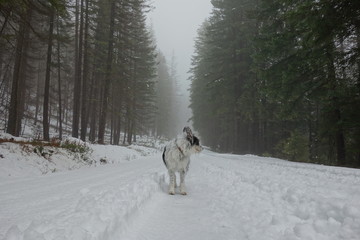 Landscapes of the Pacific Northwest