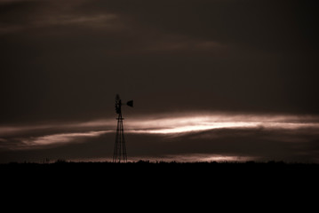 Pampas landscape, Argentina