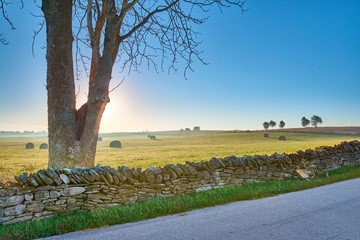 Sunrise Along Coutry Road, KY