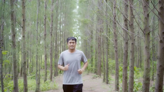 Healthy handsome young athletic sporty Asian runner man in sports clothing running and jogging on forest trail. Lifestyle fit and active women exercise in the forest concept.