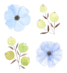 Watercolor flower set 10