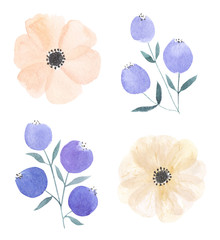 Watercolor flower set 11