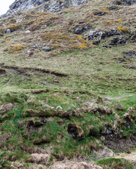 spring day, green grass on the hillside and yellow mountain meadow blooms; empty hilly mountain