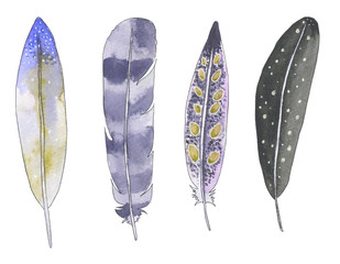 Watercolor feather set 10