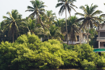 Fototapeta na wymiar Cottage near the palm trees