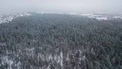 View of the winter forest from bird's eye. Snowy landscape of a frozen forest at cloudy winter weather