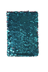 notebook with fish scale cover © Aleksandr Ugorenkov