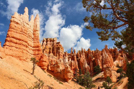 Bryce Canyon National Park is a United States National Park in Utah's Canyon Country. The spectacular Bryce Canyon - not actually a canyon, but rather a giant natural amphitheater created by erosion.