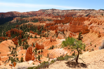 Bryce Canyon National Park is a United States National Park in Utah's Canyon Country. The spectacular Bryce Canyon - not actually a canyon, but rather a giant natural amphitheater created by erosion.