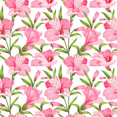 Beautiful alstroemeria on seamless background. Vector illustration.
