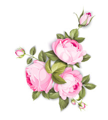 The Blooming Rose with couple of small flowers. Botanical illustration. Awesome single flower bouquet. Vector illustration.