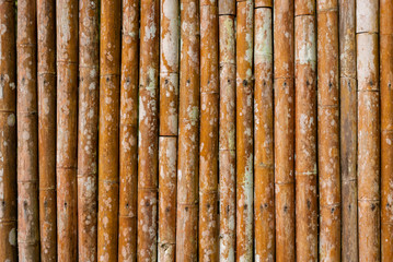 wall of bamboo old yellow bamboo texture