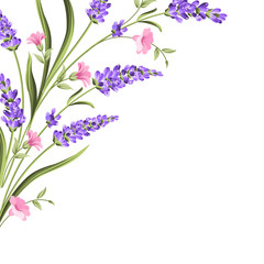 Elegant card with lavender flowers in watercolor paint style. The lavender frame and text. Lavender element for your text presentation. Vector illustration.