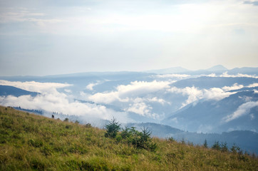 Fog is high in the mountains