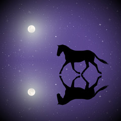 Running horse on moonlit night. Vector illustration with silhouette of beautiful animal reflected in water in park. Full moon in starry sky