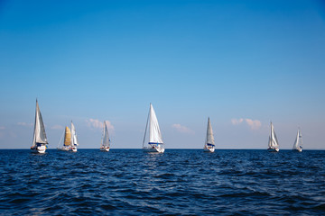 sailing on the lake