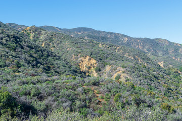 Storm damage on hillsides from rain in forest