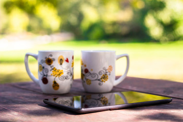 Two Cups and sunny trees 