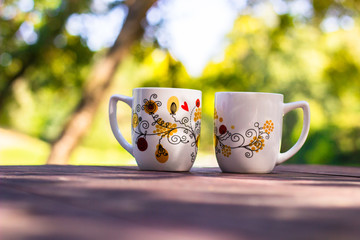 Two Cups and sunny trees