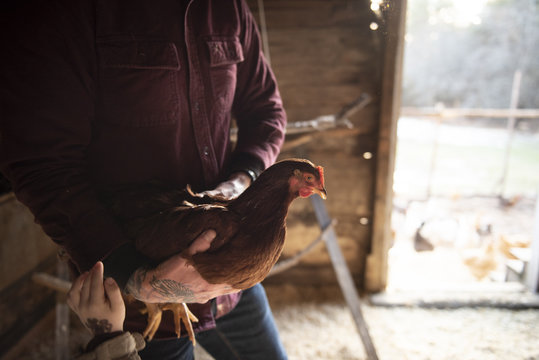 Man holding a chicken