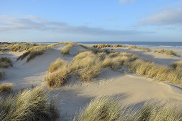 Dünen und Strand auf einer Insel in der Nordsee