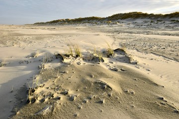 Sandstrand mit kleiner und großer Düne auf einer Insel vom Wind geformt