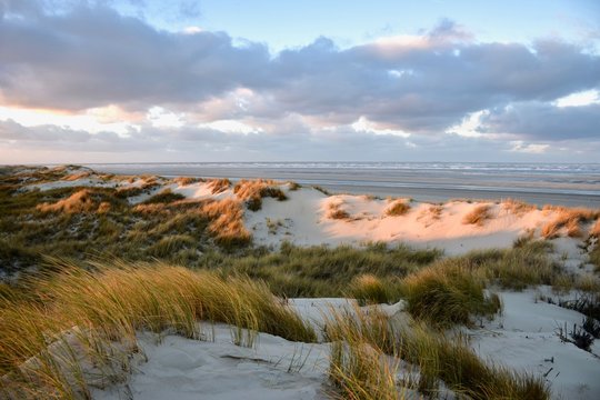 D&uuml;ne und Strand im Abendlicht 