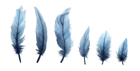 Tableaux sur verre Plumes Watercolor illustration set of isolated blue feathers on a white background. Watercolour blue feathers.