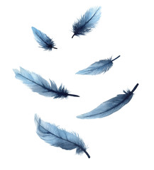 Watercolor illustration set of isolated blue feathers on a white background. Watercolour blue feathers.