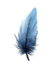 Watercolor illustration of an isolated blue feather on a white background. Watercolour blue feather.
