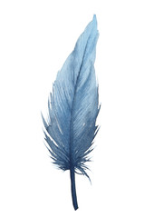 Watercolor illustration of an isolated blue feather on a white background. Watercolour blue feather.