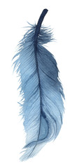 Watercolor illustration of an isolated blue feather on a white background. Watercolour blue feather.