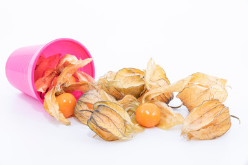 Golden berry (Physalis) isolated