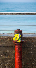 Red grungy hydrant on the old stone pier with colorful bouquet and sea at backgrounds. Romance...