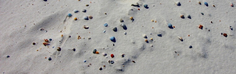 wide angle travel background with colorful shells on the beach 
