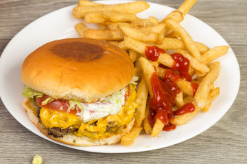 Cheeseburger with Fries on White Plate